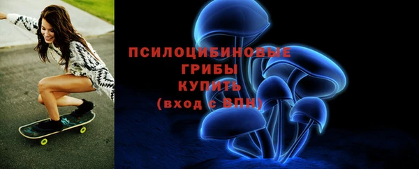 прущая мука Арсеньев