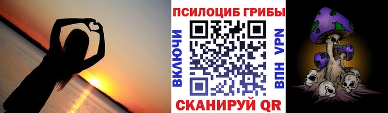 продажа наркотиков  Красногорск  маркетплейс состав  Псилоцибиновые грибы Magic Shrooms  мега как войти 